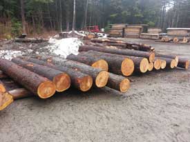Vermont cherry logs