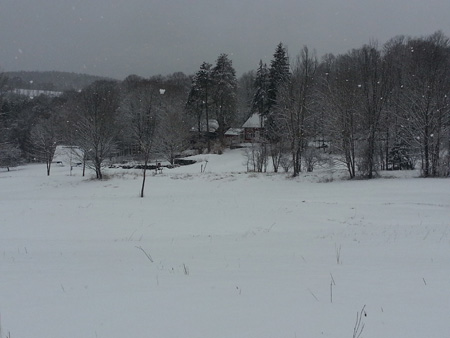 Signal Pine Farm, Putney, VT